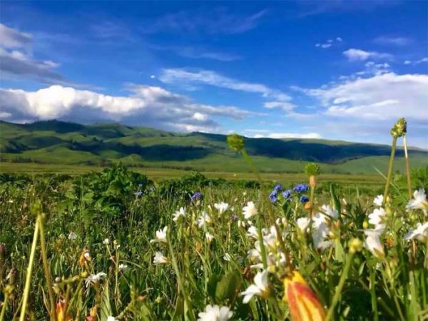 邂逅伊犁：喀拉峻、昭蘇夏塔雪山草原夢(mèng)幻之旅